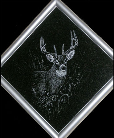 Deer with rack etched on diamond shaped granite